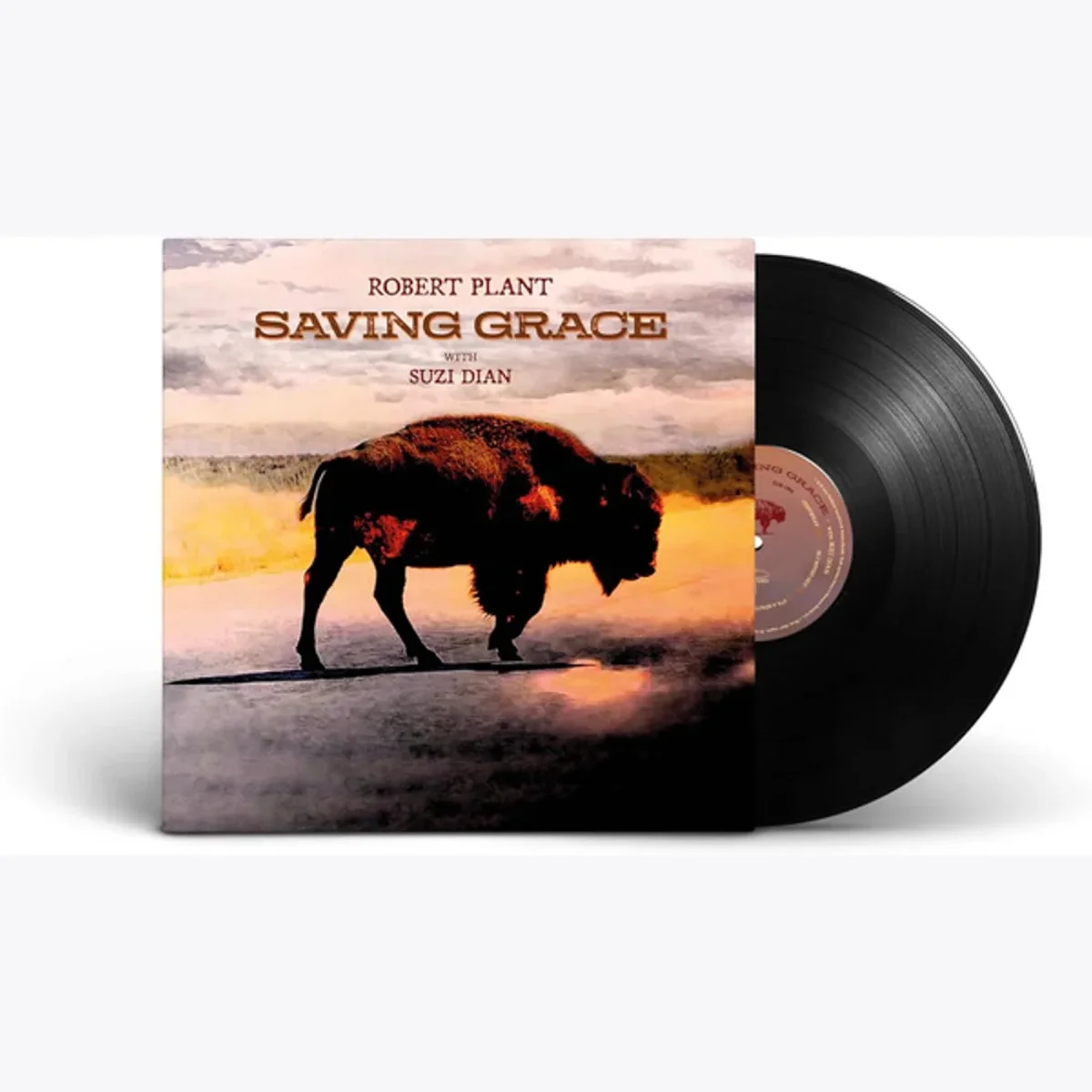 Виниловая пластинка Robert Plant. Saving Grace (LP), изображение 2